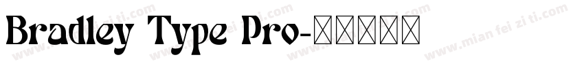 Bradley Type Pro字体转换